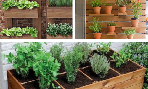 A imagem mostra três dicas de sustentação para montar uma horta vertical em sua casa.