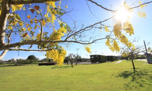 São José do Rio Preto - Damha III - Área verde
